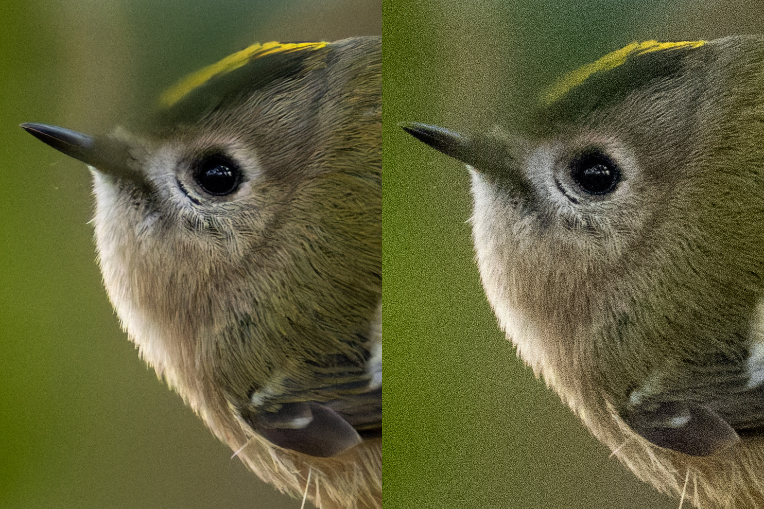 Das Nikon Z 135 1.8 S Plena zusammen mit der Nikon Z 8 im Schnee.